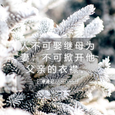 Picture 05 - 申 命 记 22:30 CUVS - 人 不 可 娶 继 母 为 妻 ； 不 可 掀 - Bible Verse Picture