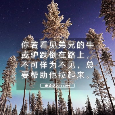 Picture 05 - 申 命 记 22:4 CUVS - 你 若 看 见 弟 兄 的 牛 或 驴 跌 倒 - Bible Verse Picture