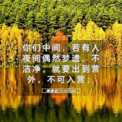 Picture 05 - 申 命 记 23:10 CUVS - 你 们 中 间 ， 若 有 人 夜 间 偶 然 - Bible Verse Picture