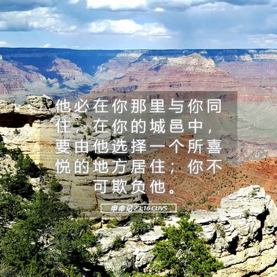 Picture 05 - 申 命 记 23:16 CUVS - 他 必 在 你 那 里 与 你 同 住 ， 在 - Bible Verse Picture
