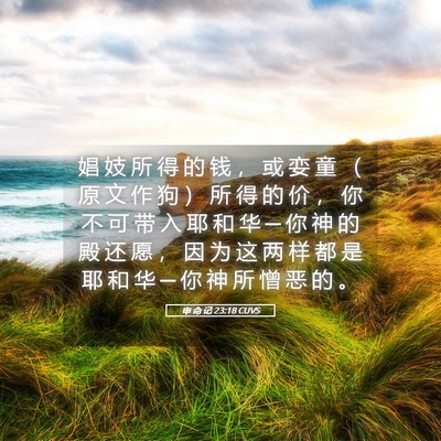 Picture 05 - 申 命 记 23:18 CUVS - 娼 妓 所 得 的 钱 ， 或 娈 童 （ 原 - Bible Verse Picture