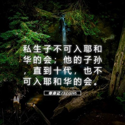 Picture 05 - 申 命 记 23:2 CUVS - 私 生 子 不 可 入 耶 和 华 的 会 ； - Bible Verse Picture