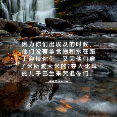 Picture 05 - 申 命 记 23:4 CUVS - 因 为 你 们 出 埃 及 的 时 候 ， 他 - Bible Verse Picture