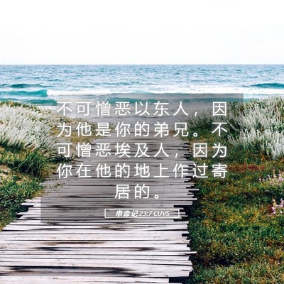 Picture 05 - 申 命 记 23:7 CUVS - 不 可 憎 恶 以 东 人 ， 因 为 他 是 - Bible Verse Picture