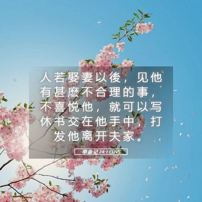 Picture 05 - 申 命 记 24:1 CUVS - 人 若 娶 妻 以 後 ， 见 他 有 甚 麽 - Bible Verse Picture
