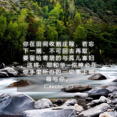 Picture 05 - 申 命 记 24:19 CUVS - 你 在 田 间 收 割 庄 稼 ， 若 忘 下 - Bible Verse Picture
