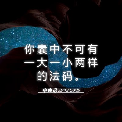 Picture 05 - 申 命 记 25:13 CUVS - 你 囊 中 不 可 有 一 大 一 小 两 样 - Bible Verse Picture