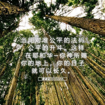 Picture 05 - 申 命 记 25:15 CUVS - 当 用 对 准 公 平 的 法 码 ， 公 平 - Bible Verse Picture