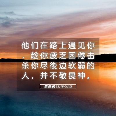 Picture 05 - 申 命 记 25:18 CUVS - 他 们 在 路 上 遇 见 你 ， 趁 你 疲 - Bible Verse Picture