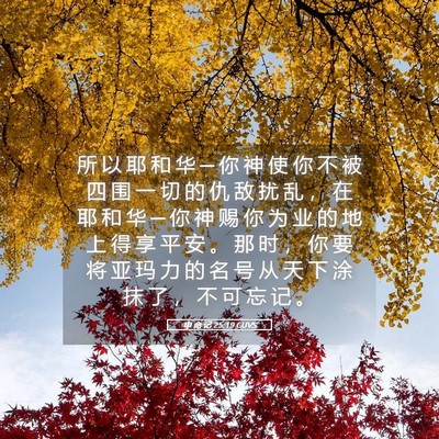 Picture 05 - 申 命 记 25:19 CUVS - 所 以 耶 和 华 ─ 你 神 使 你 不 被 - Bible Verse Picture