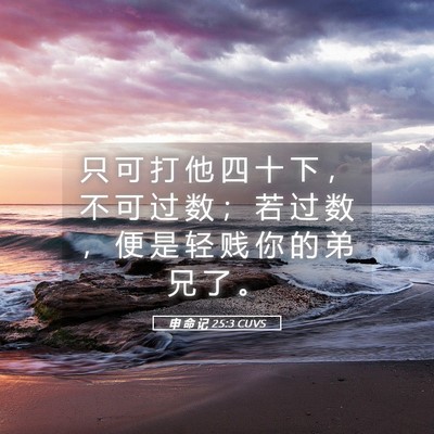 Picture 05 - 申 命 记 25:3 CUVS - 只 可 打 他 四 十 下 ， 不 可 过 数 - Bible Verse Picture
