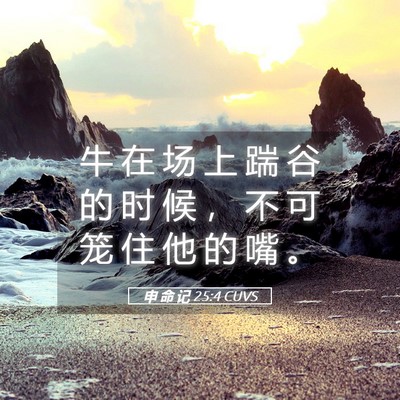 Picture 05 - 申 命 记 25:4 CUVS - 牛 在 场 上 踹 谷 的 时 候 ， 不 可 - Bible Verse Picture