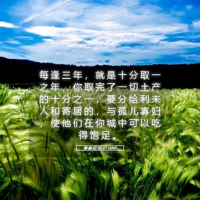 Picture 05 - 申 命 记 26:12 CUVS - 每 逢 三 年 ， 就 是 十 分 取 一 之 - Bible Verse Picture
