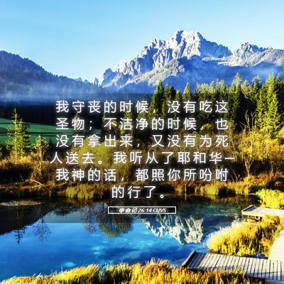 Picture 05 - 申 命 记 26:14 CUVS - 我 守 丧 的 时 候 ， 没 有 吃 这 圣 - Bible Verse Picture