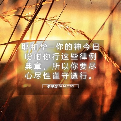 Picture 05 - 申 命 记 26:16 CUVS - 耶 和 华 ─ 你 的 神 今 日 吩 咐 你 - Bible Verse Picture