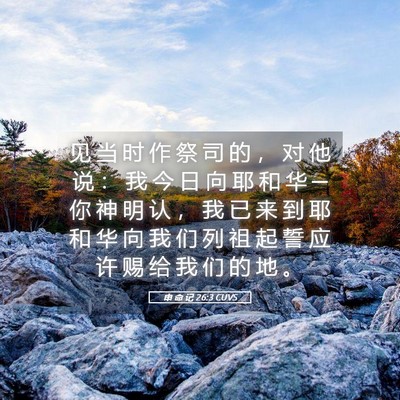 Picture 05 - 申 命 记 26:3 CUVS - 见 当 时 作 祭 司 的 ， 对 他 说 ： - Bible Verse Picture