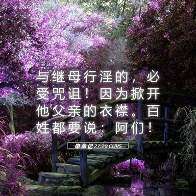 Picture 05 - 申 命 记 27:20 CUVS - 与 继 母 行 淫 的 ， 必 受 咒 诅 ！ - Bible Verse Picture
