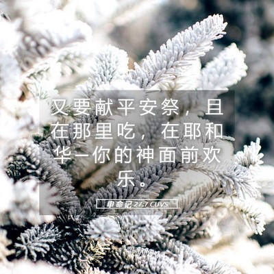 Picture 05 - 申 命 记 27:7 CUVS - 又 要 献 平 安 祭 ， 且 在 那 里 吃 - Bible Verse Picture