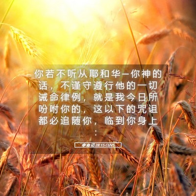 Picture 05 - 申 命 记 28:15 CUVS - 你 若 不 听 从 耶 和 华 ─ 你 神 的 - Bible Verse Picture