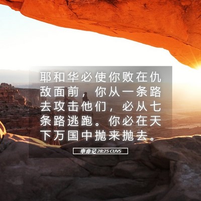 Picture 05 - 申 命 记 28:25 CUVS - 耶 和 华 必 使 你 败 在 仇 敌 面 前 - Bible Verse Picture