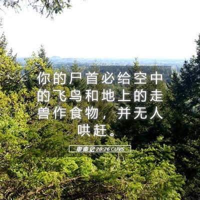 Picture 05 - 申 命 记 28:26 CUVS - 你 的 尸 首 必 给 空 中 的 飞 鸟 和 - Bible Verse Picture