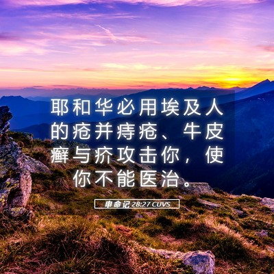 Picture 05 - 申 命 记 28:27 CUVS - 耶 和 华 必 用 埃 及 人 的 疮 并 痔 - Bible Verse Picture