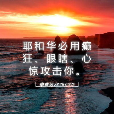 Picture 05 - 申 命 记 28:28 CUVS - 耶 和 华 必 用 癫 狂 、 眼 瞎 、 心 - Bible Verse Picture