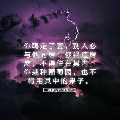 Picture 05 - 申 命 记 28:30 CUVS - 你 聘 定 了 妻 ， 别 人 必 与 他 同 - Bible Verse Picture