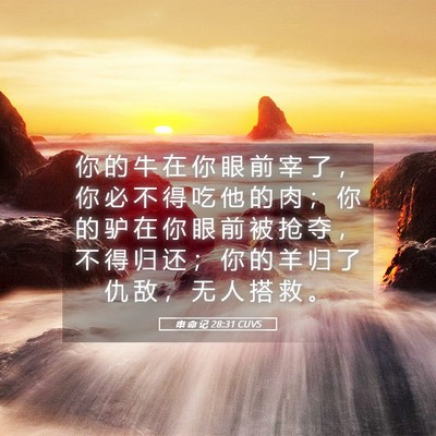 Picture 05 - 申 命 记 28:31 CUVS - 你 的 牛 在 你 眼 前 宰 了 ， 你 必 - Bible Verse Picture
