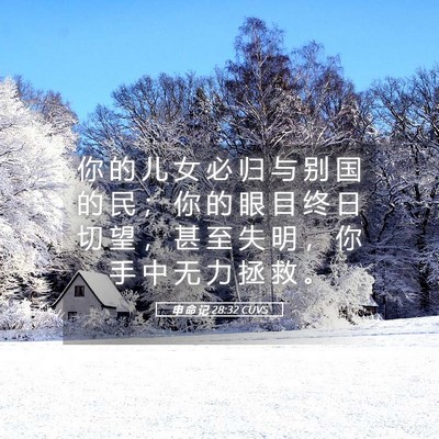 Picture 05 - 申 命 记 28:32 CUVS - 你 的 儿 女 必 归 与 别 国 的 民 ； - Bible Verse Picture