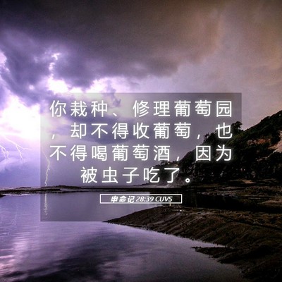 Picture 05 - 申 命 记 28:39 CUVS - 你 栽 种 、 修 理 葡 萄 园 ， 却 不 - Bible Verse Picture