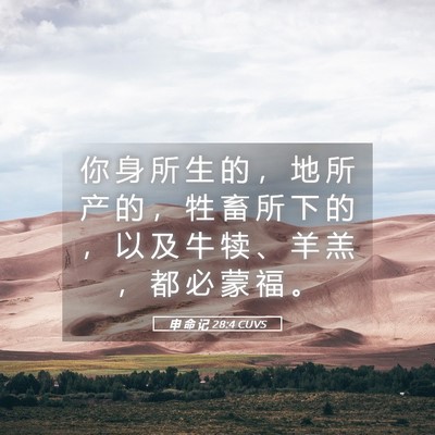 Picture 05 - 申 命 记 28:4 CUVS - 你 身 所 生 的 ， 地 所 产 的 ， 牲 - Bible Verse Picture