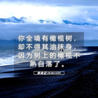 Picture 05 - 申 命 记 28:40 CUVS - 你 全 境 有 橄 榄 树 ， 却 不 得 其 - Bible Verse Picture