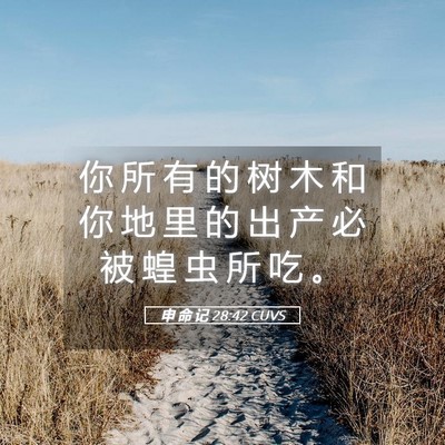 Picture 05 - 申 命 记 28:42 CUVS - 你 所 有 的 树 木 和 你 地 里 的 出 - Bible Verse Picture