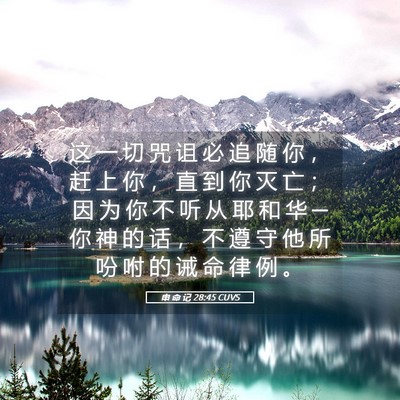 Picture 05 - 申 命 记 28:45 CUVS - 这 一 切 咒 诅 必 追 随 你 ， 赶 上 - Bible Verse Picture