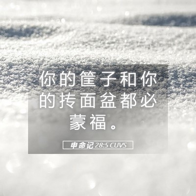 Picture 05 - 申 命 记 28:5 CUVS - 你 的 筐 子 和 你 的 抟 面 盆 都 必 - Bible Verse Picture