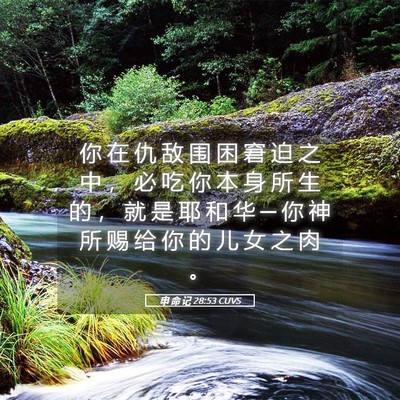 Picture 05 - 申 命 记 28:53 CUVS - 你 在 仇 敌 围 困 窘 迫 之 中 ， 必 - Bible Verse Picture
