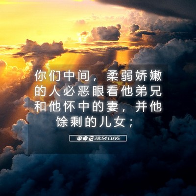 Picture 05 - 申 命 记 28:54 CUVS - 你 们 中 间 ， 柔 弱 娇 嫩 的 人 必 - Bible Verse Picture