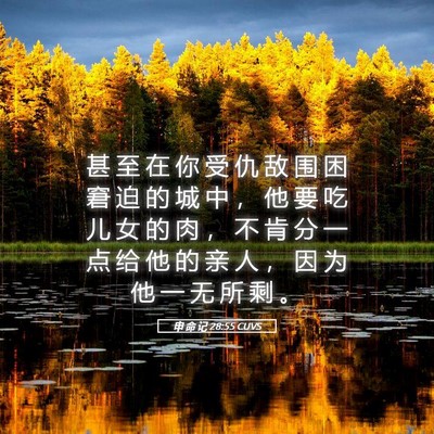 Picture 05 - 申 命 记 28:55 CUVS - 甚 至 在 你 受 仇 敌 围 困 窘 迫 的 - Bible Verse Picture