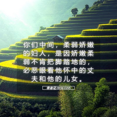 Picture 05 - 申 命 记 28:56 CUVS - 你 们 中 间 ， 柔 弱 娇 嫩 的 妇 人 - Bible Verse Picture