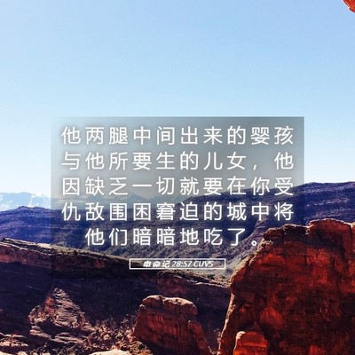 Picture 05 - 申 命 记 28:57 CUVS - 他 两 腿 中 间 出 来 的 婴 孩 与 他 - Bible Verse Picture