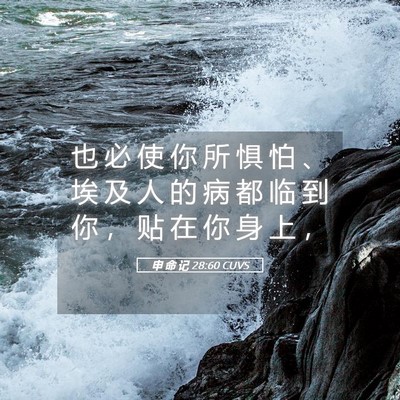 Picture 05 - 申 命 记 28:60 CUVS - 也 必 使 你 所 惧 怕 、 埃 及 人 的 - Bible Verse Picture