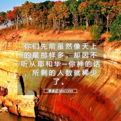 Picture 05 - 申 命 记 28:62 CUVS - 你 们 先 前 虽 然 像 天 上 的 星 那 - Bible Verse Picture