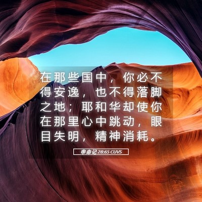 Picture 05 - 申 命 记 28:65 CUVS - 在 那 些 国 中 ， 你 必 不 得 安 逸 - Bible Verse Picture