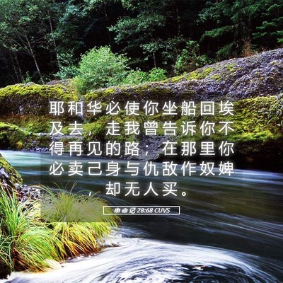Picture 05 - 申 命 记 28:68 CUVS - 耶 和 华 必 使 你 坐 船 回 埃 及 去 - Bible Verse Picture