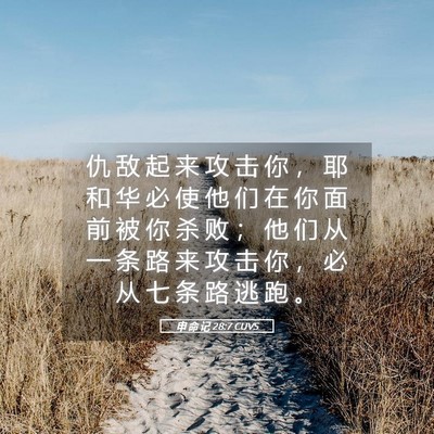 Picture 05 - 申 命 记 28:7 CUVS - 仇 敌 起 来 攻 击 你 ， 耶 和 华 必 - Bible Verse Picture