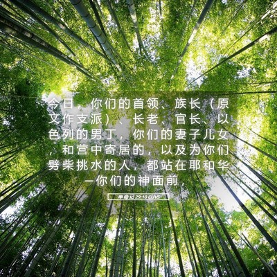 Picture 05 - 申 命 记 29:10 CUVS - 今 日 ， 你 们 的 首 领 、 族 长 （ - Bible Verse Picture