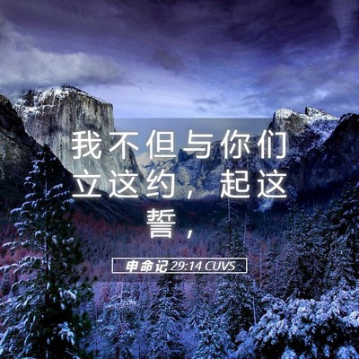 Picture 05 - 申 命 记 29:14 CUVS - 我 不 但 与 你 们 立 这 约 ， 起 这 - Bible Verse Picture