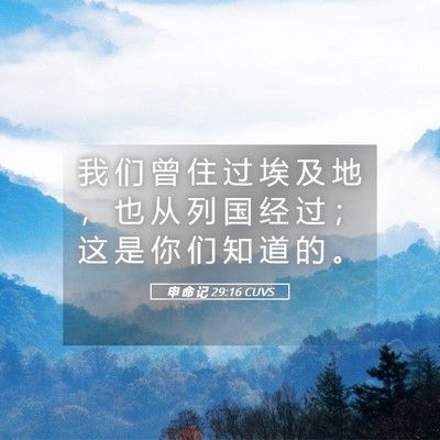 Picture 05 - 申 命 记 29:16 CUVS - 我 们 曾 住 过 埃 及 地 ， 也 从 列 - Bible Verse Picture
