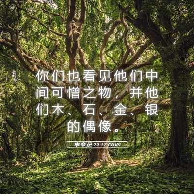 Picture 05 - 申 命 记 29:17 CUVS - 你 们 也 看 见 他 们 中 间 可 憎 之 - Bible Verse Picture